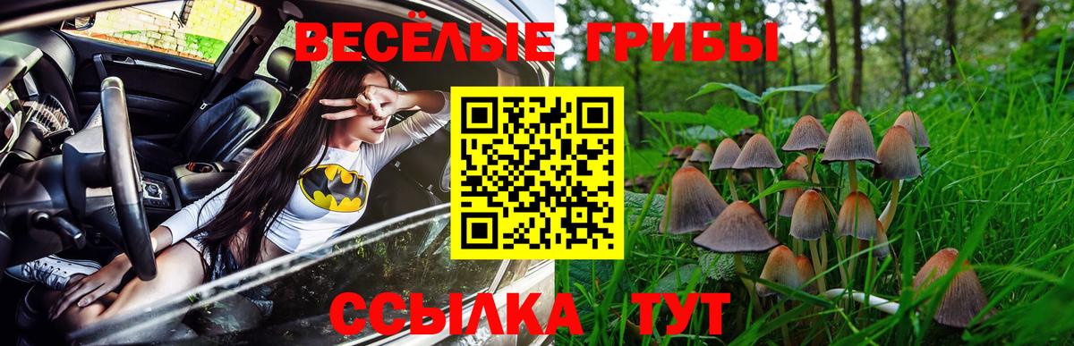 Минусинск  Псилоцибиновые грибы Psilocybe  Вход с VPN  Псилоцибиновые грибы Psilocybine cubensis 